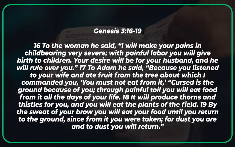 Genesis 3:16-19