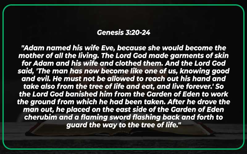 Genesis 3:20-24
