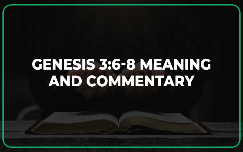 Genesis 3:6-8
