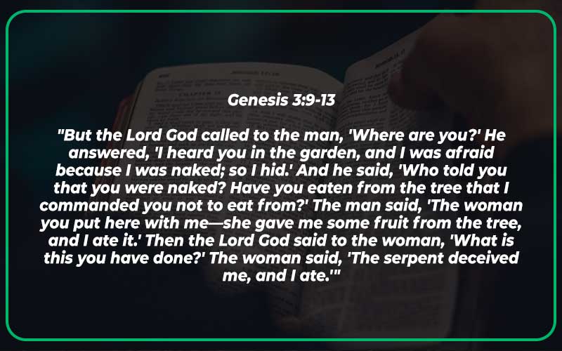 Genesis 3:9-13