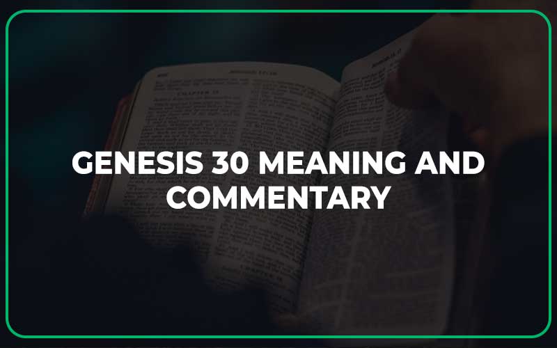 Genesis 30 Meaning and Commentary