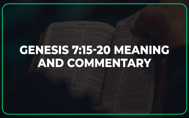 Genesis 7 15 20 Meaning And Commentary Scripture Savvy