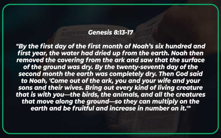 Genesis 8 13 17 Meaning And Commentary Scripture Savvy genesis-8-13-17-meaning-and-commentary-scripture-savvy