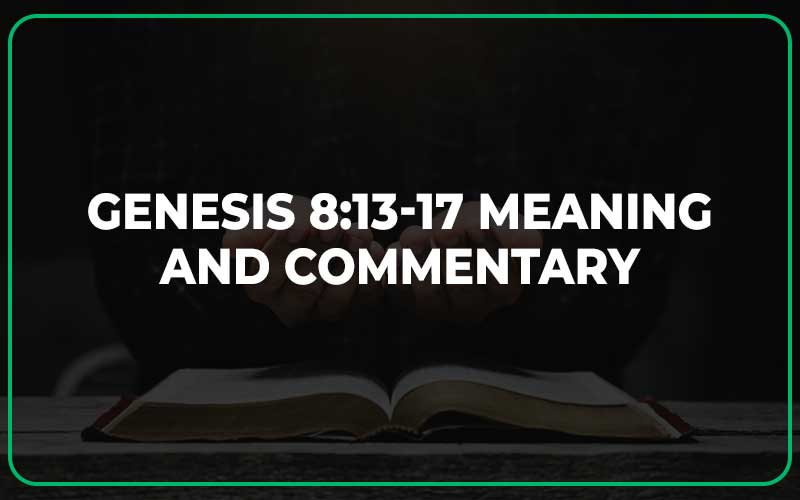 Genesis 8:13-17 Meaning and Commentary