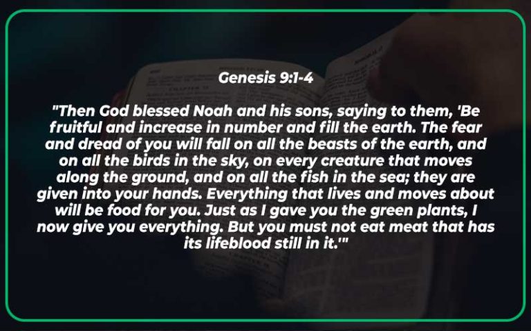 genesis-9-1-4-meaning-and-commentary-scripture-savvy