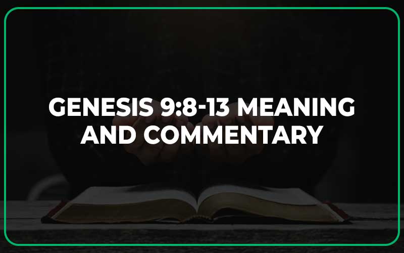 Genesis 9:8-13 Meaning and Commentary