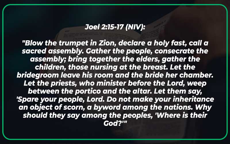 Joel 2:15-17
