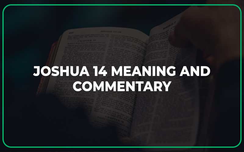 Joshua 14 Meaning and Commentary