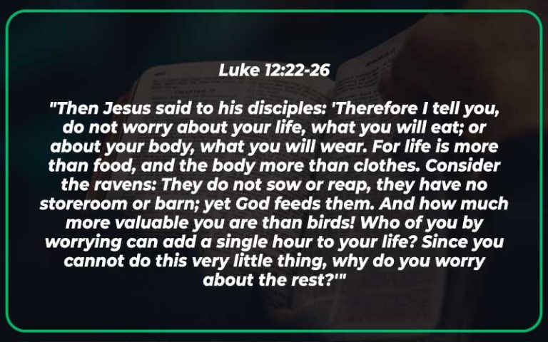Luke 12:22-26 Meaning and Commentary - Scripture Savvy