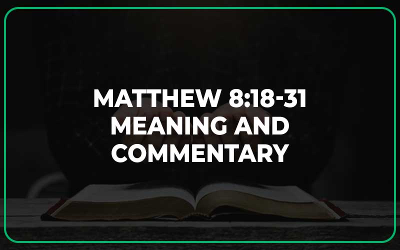 Matthew 8:18-31 Meaning and Commentary
