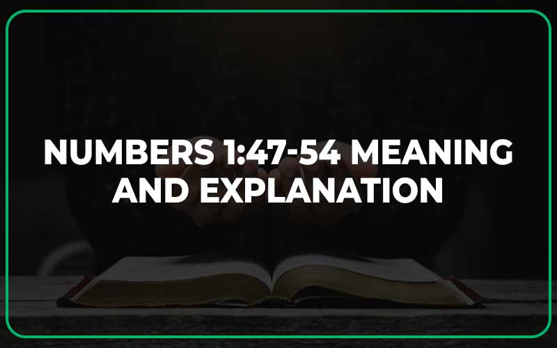 Numbers 1:47-54 Meaning and Explanation