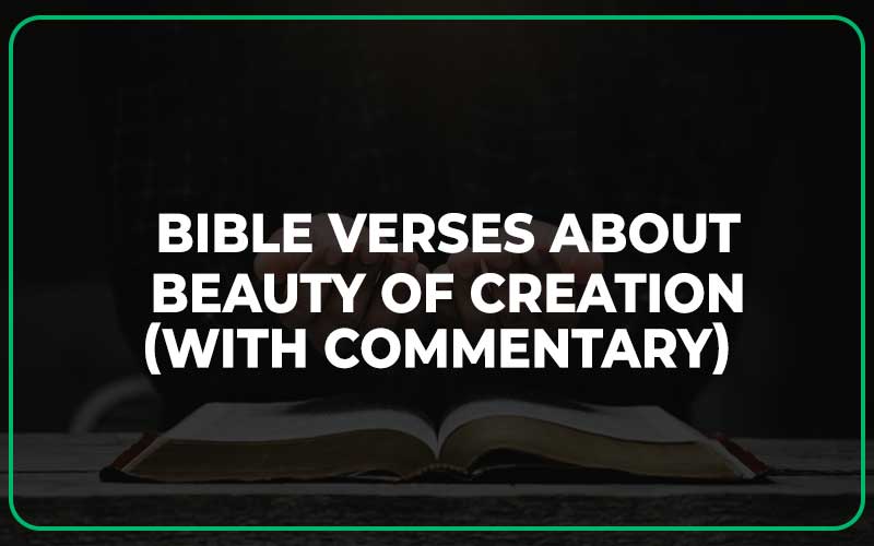 Bible Verses About Beauty Of Creation