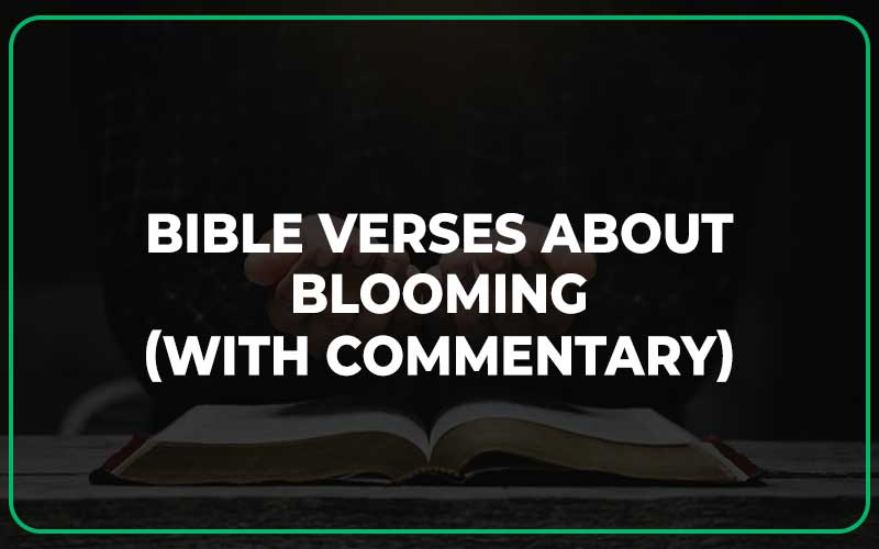 Bible Verses About Blooming