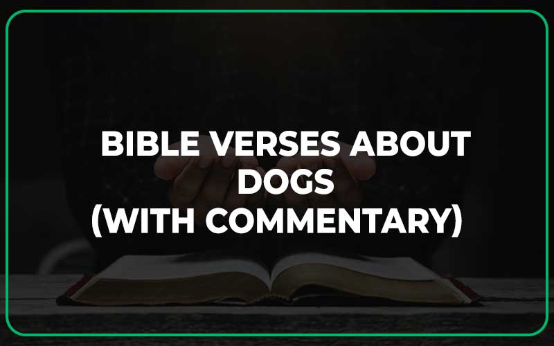 Bible Verses About Dogs