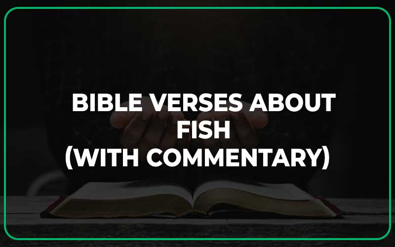 Bible Verses About Fish