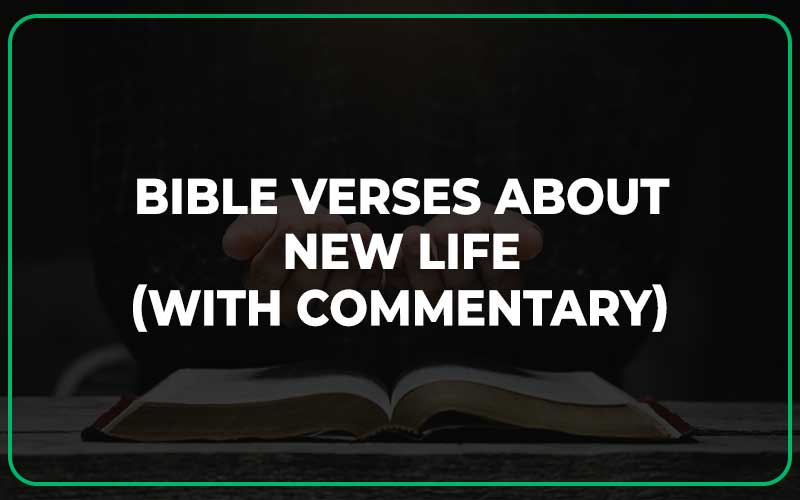 Bible Verses About New Life