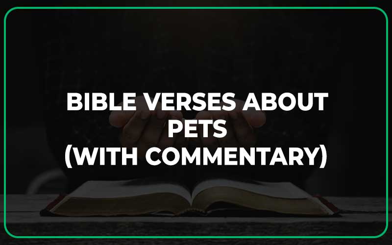 Bible Verses About Pets