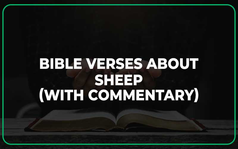 Bible Verses About Sheep