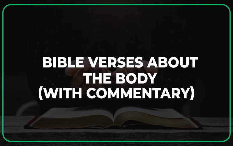 Bible Verses About The Body