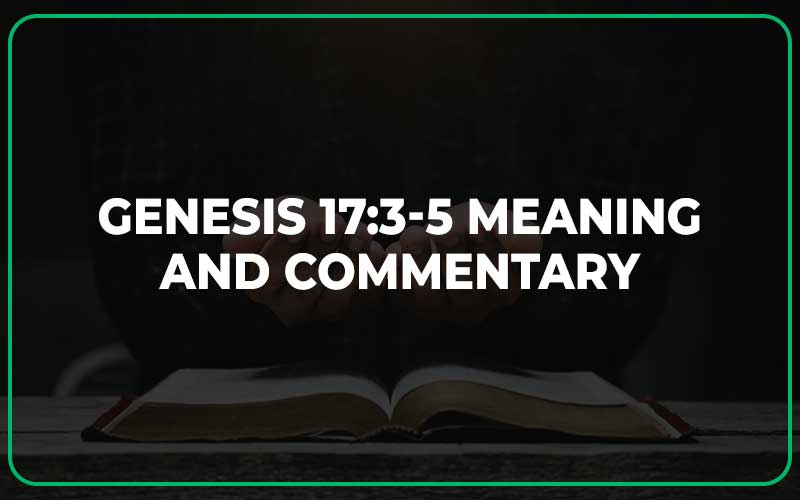 Genesis 17:3-5 Meaning and Commentary