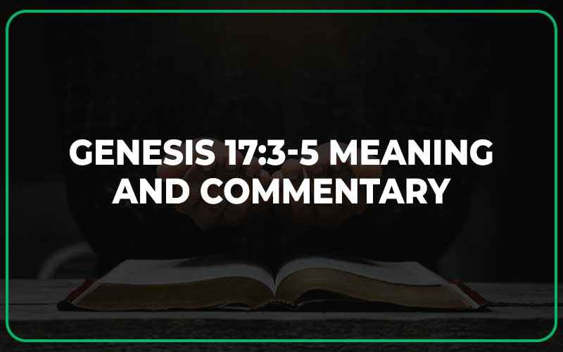 Genesis 17 3 5 Meaning And Commentary Scripture Savvy