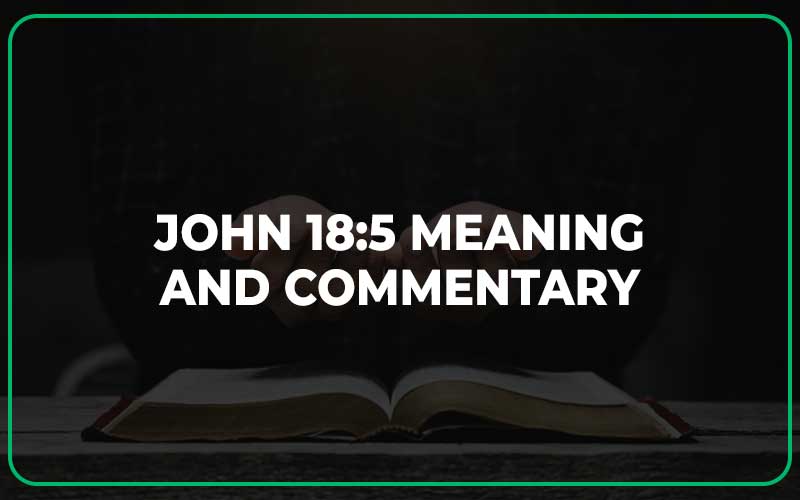 John 18:5 Meaning and Commentary