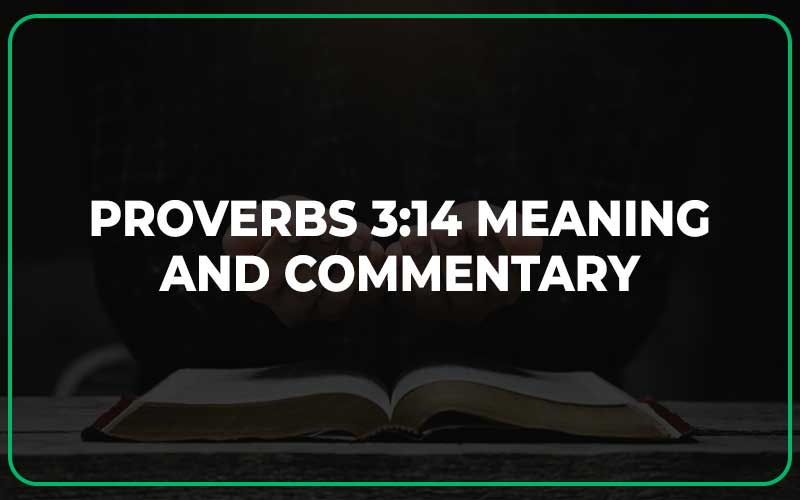 Proverbs 3:14 Meaning and Commentary