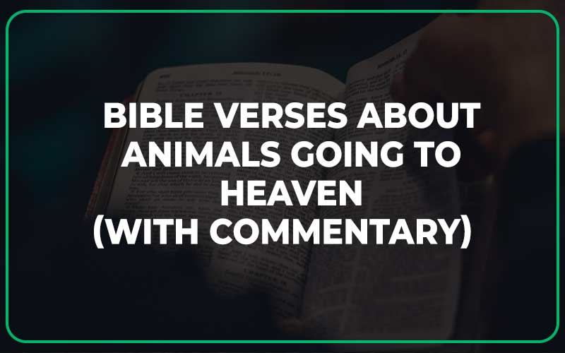 Bible Verses About Animals Going To Heaven