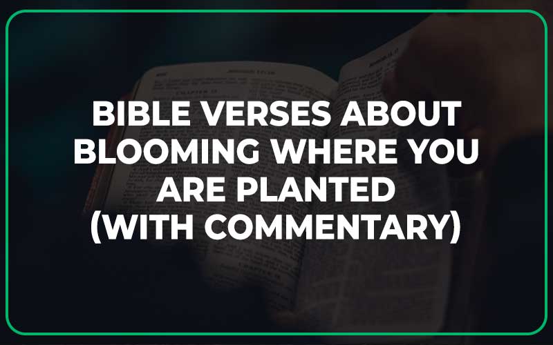 Bible Verses About Blooming Where You Are Planted