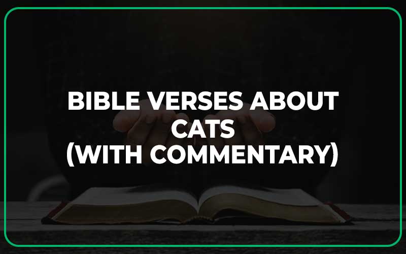 Bible Verses About Cats