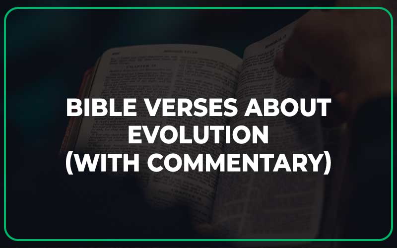 Bible Verses About Evolution