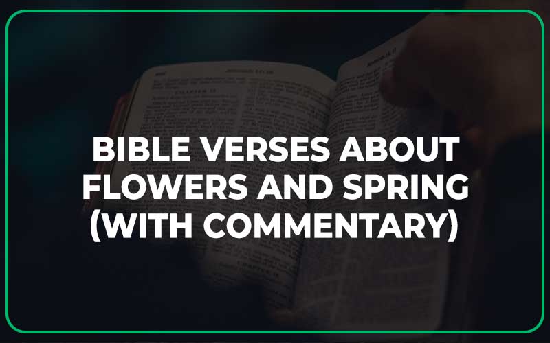 Bible Verses About Flowers And Spring