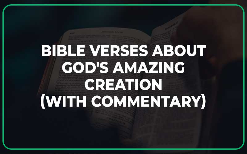 Bible Verses About God's Amazing Creation