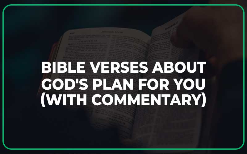Bible Verses About God's Plan For You
