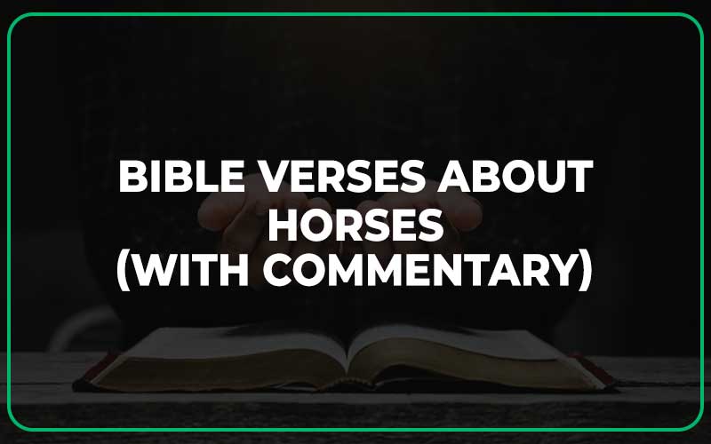 Bible Verses About Horses