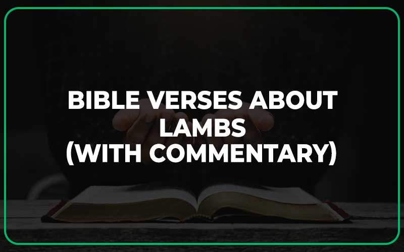 Bible Verses About Lambs