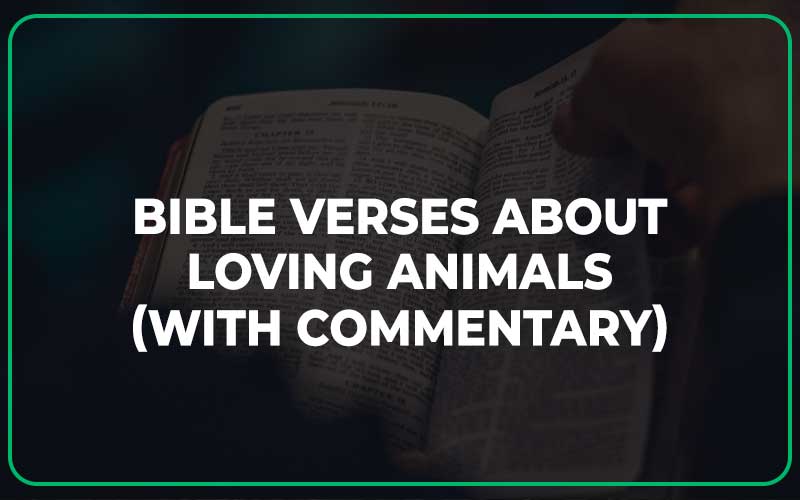 Bible Verses About Loving Animals