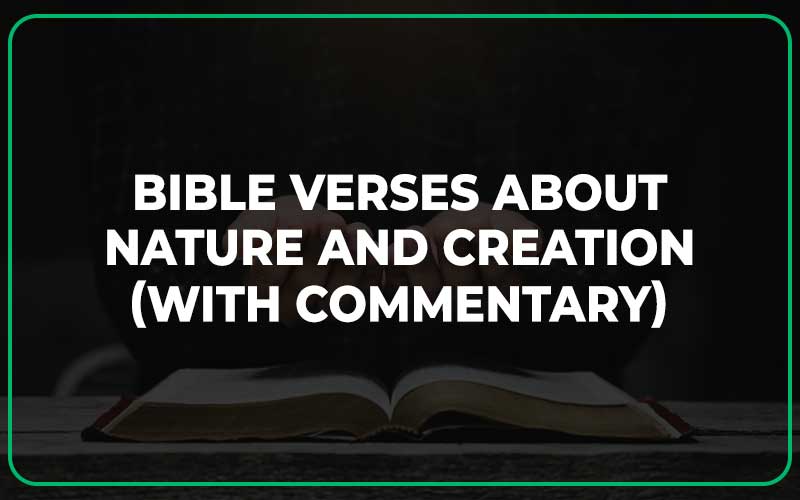 Bible Verses About Nature And Creation