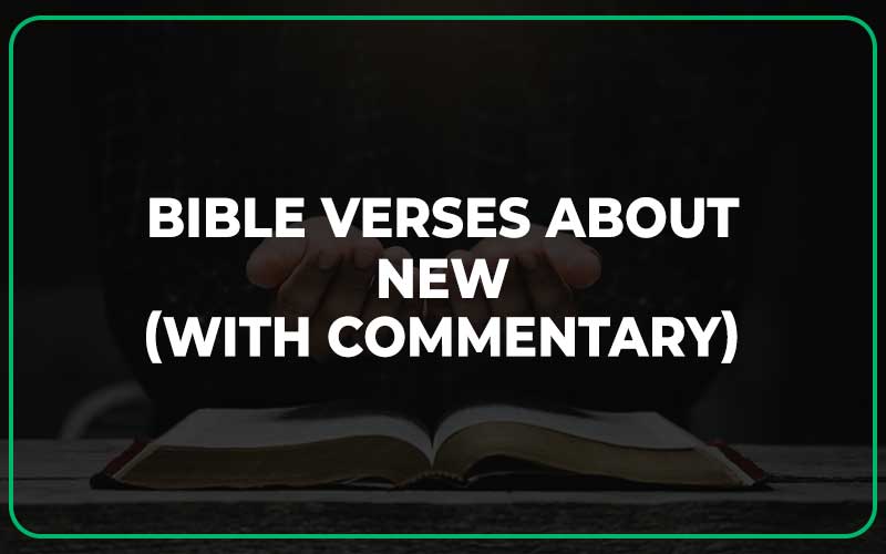 Bible Verses About New