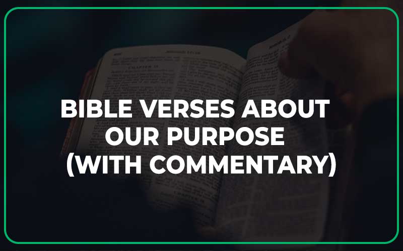 Bible Verses About Our Purpose