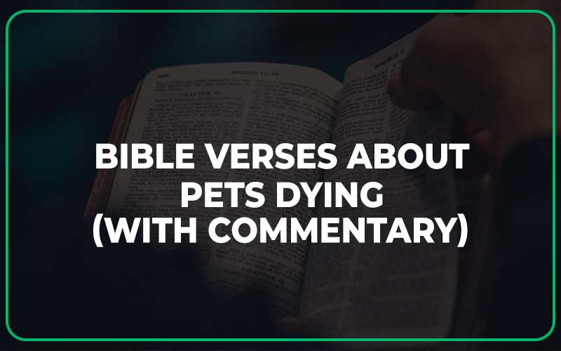 Bible Verses About Pets Dying