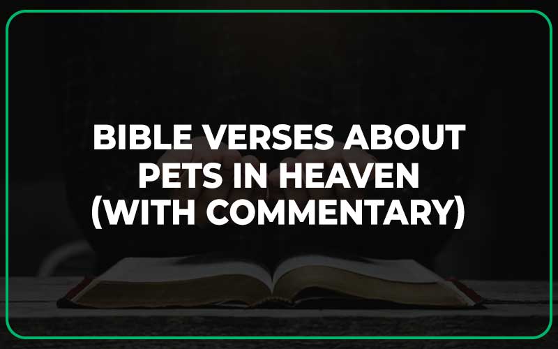 Bible Verses About Pets In Heaven