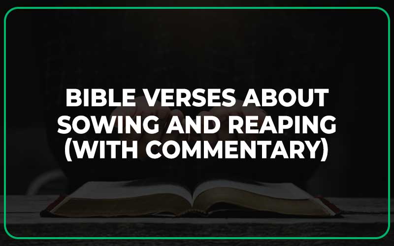 Bible Verses About Sowing And Reaping