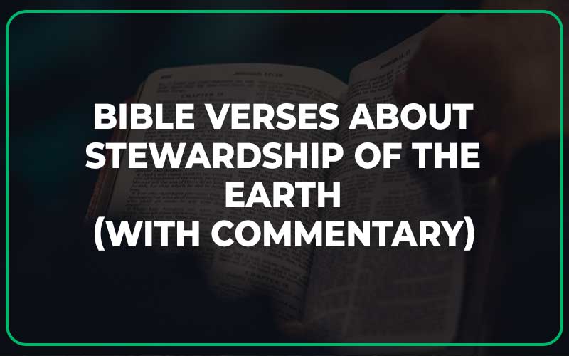 Bible Verses About Stewardship Of The Earth