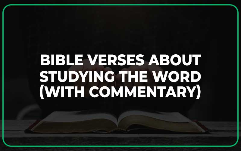 Bible Verses About Studying The Word