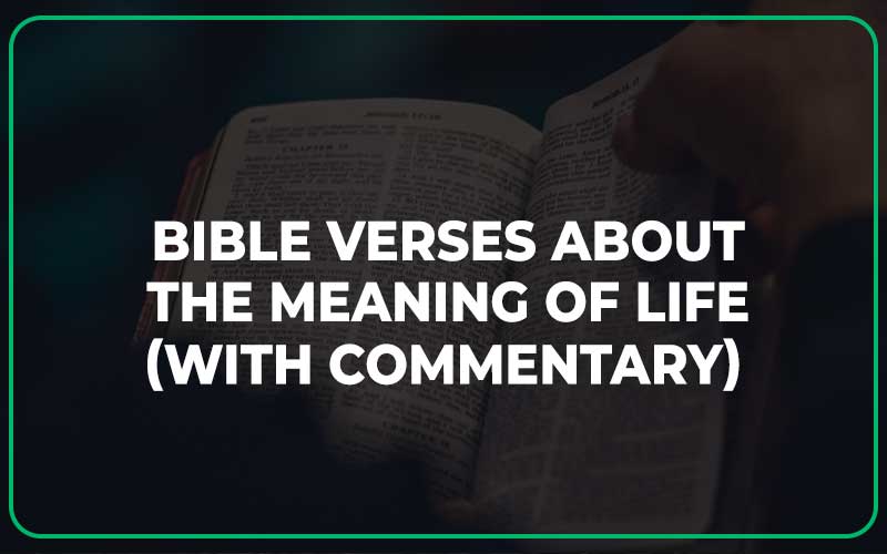 Bible Verses About The Meaning Of Life