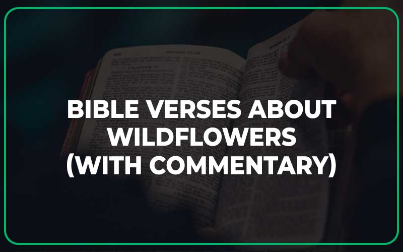 Bible Verses About Wildflowers