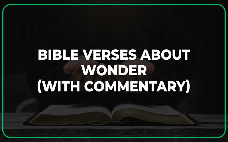 Bible Verses About Wonder