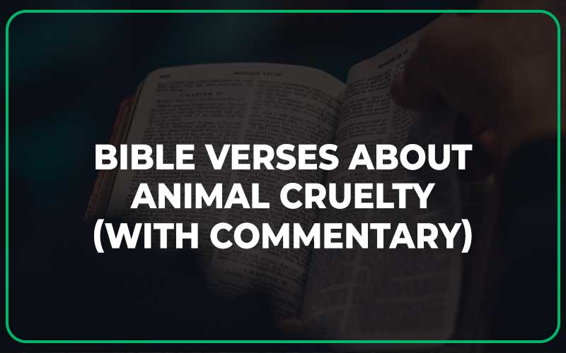Bible Verses About Animal Cruelty